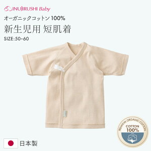 [֑ I[KjbNRbg Z { { 50cm 60cm V xr[ Ԃ   100 t  H ~ xr[ xr[pi xr[EFA oYj Mtg