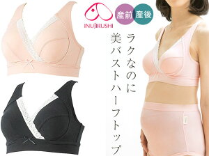 [֑ { NȂ̂ɔoXg Kn[tgbvuiYO`Yj BR1675 u }}ƌ̋Ji }^jeB  }^jeB[  INUJIRUSHI/