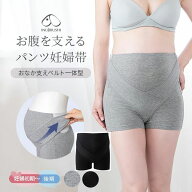 送料無料 犬印 妊婦帯 HB8431 肌にやさしい お腹を支える パンツ妊婦帯 妊婦 腹帯 腹巻 はらまき ガード…