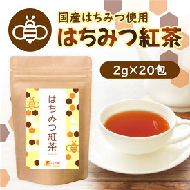 【公式】温活農園 はちみつ紅茶 2g×20包 ティーバッグ 濃厚 ハチミツ紅茶 蜂蜜紅茶 極上 送料無料 カフェイン検査済