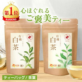 ＜お買い物マラソン★最大半額＞白茶 送料無料 1.5g×20包 ティーバッグ / 20g リーフ 温活農園 公式 | おいしい ホワイトティー ネパール産 有機JAS認証 ペットボトル よりお得 水出し ポリフェノール ビタミンC お茶