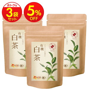 _X[p[SALEő唼z^CɓYȂI  1.5g×20 eB[obO / 20g [t _  |  zCgeB[ lp[Y L@JASF ybg{g 