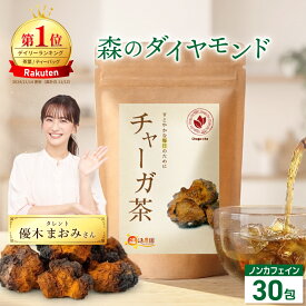 温活農園 公式 チャーガ茶 2g×30包 無添加 農薬不使用 残留農薬検査済 国内生産 最強翌日配送 送料無料 ティーバッグ ティーパック おいしい 飲みやすい チャーガチャ カバノアナタケ 健康茶