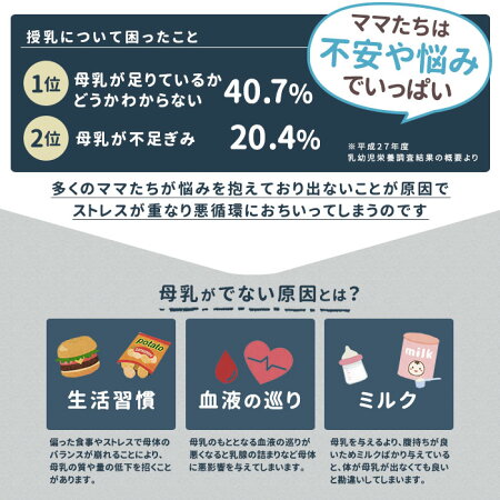 楽天市場 Meguru 2g 30包 お得な2袋セット 母乳育児 ハーブティー 完全母乳を目指すママのために 飲みやすくて続けやすい 10種類のハーブをブレンド 母乳育児サポート 母乳 ハーブティー 授乳 育児 産後 ママ 母乳不足 送料無料 ママセレクト 楽天市場店