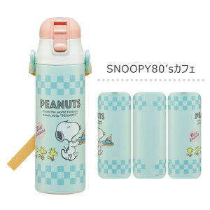 2025NŐVy 20OFF zpbL܂IyzSKATER XP[^[  LbY  _CNg{g 580ml SDC6  q y eʃ^Cv bNt vbV XeX 