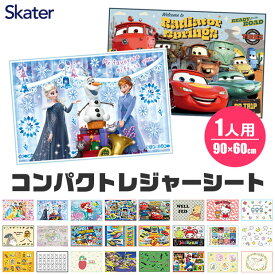 ＼10％OFF★／2024年度新柄【2点以上で送料無料】 SKATER　スケーター レジャーシート 一人用 コンパクトレジャーシート えんそく 山登り 登山 2023年 新柄 コンパクト 子供 男の子 女の子 敷物 遠足 園外保育 レジャー シート