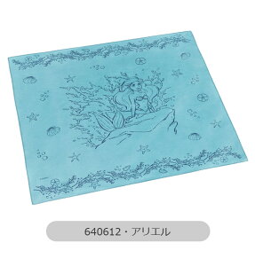 2025NŐVyzSKATER XP[^[ `NX唻 `NX `}bg `}bg itL 2024N V H 1 { 100% ٓ ٓ 52×52cm j̎q 