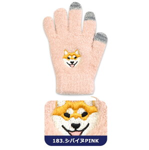 y 20%OFF zyzX}zΉ  LbY Ԃ j̎q ̎q ǂ 5{w q p O[u h ~ 킢  g   hJ Aj} ۈ牀 ct