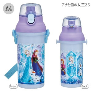 2025NŐVyzSKATER XP[^[   v^b`{g R ^b`  vX`bN 480ml y vbV _CNg ct w ̎q j̎q L