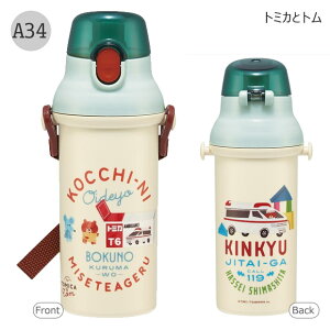 2025NŐVyzSKATER XP[^[   v^b`{g R ^b`  vX`bN 480ml y vbV _CNg ct w ̎q j̎q L