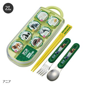 y 55%OFF݌Ɍ zSKATER XP[^[ XChgI TACC2AG R AGR 2024N 2023N V HΉXChgIZbg Jg[ Jg[ OV[t  Xv[ tH[N