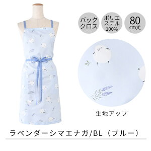 y 10%OFF zyzGv tYq  V[gGv 킢 ۈm fB[X 80cm 80cm Gv  obNNX^ NX^ X^ Gv i` `