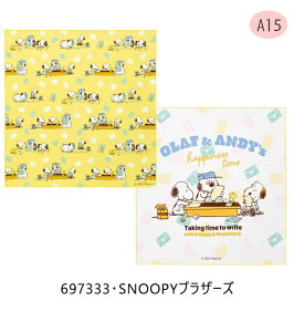 2025NŐVy 5OFF zyzSKATER XP[^[ `NX 2 Zbg itL j̎q ̎q H itL { 100 ٓ 43×43cm ` `}bg  