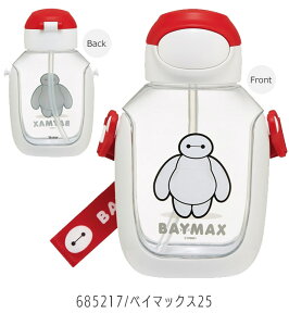 2025NŐVy 6OFF zyzSKATER XP[^[  LbY Xg[ vbV Xg[{g 530ml ^b` {g  V_[ xg  c j̎q ̎q X