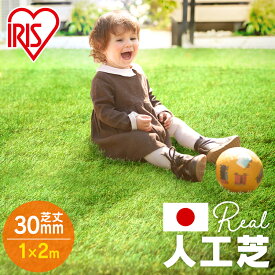 楽天市場 人工芝 赤ちゃんの通販 楽天市場 人工芝 赤ちゃんの通販