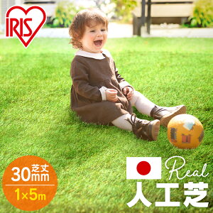 lH 1m×5m AlH IP-3015 lHŐ Ő Ń}bg ACXI[} lHŃ}bg Ő}bg ACX\[R[ yDz