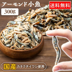 A[h A[htBbV 300g A[h A[h ibc ܂  JVE q Y킵 ƈ  ӎ Mtgy[ցzyEws