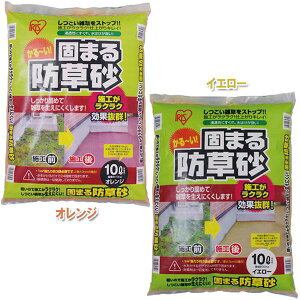 ł܂h 10L IWECG[ ACXI[}   10L h