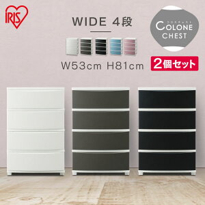 y2Zbgz^X 53cm@4i Ch`FXg CLN-544 u[ zCg uE sNubN `FXg ߗގ[ [ ^X Еt rO ACXI[}