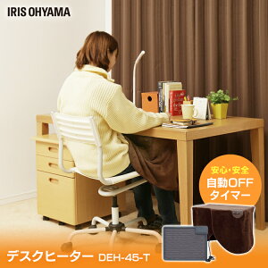 fXNq[^[ q[^[ ACXI[}@efeeliGtB[jfXNq[^[DEH-45-T