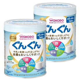【2個セット】粉ミルク　ぐんぐん 300g フォローアップミルク 和光堂和光堂 赤ちゃん ベビー 粉ミルク フォローアップ 9か月 鉄 カルシウム DHA DHA