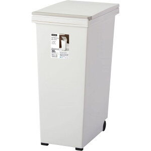 ゴミ箱 インテリア ダストボックス エバン プッシュペール30L ホワイト A6012プッシュペール ゴミ箱 屋内ペール キッチン ダストボックス シンプル スタイリッシュ プッシュ式 ゴミの分別 捨