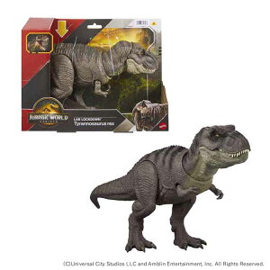 WVbNE[h {PIT|bNX WVbN[h TbNX {P eB[bNX Ă[  tBMA Mtg }eC^[iVi NX}X 