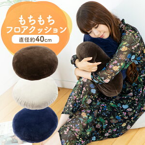 zc NbV 40cm NbV40×40 MOCHI40R 傫 zc }CNt@Co[ rO uE lCr[ CgO[yDzyKD05z