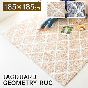 �W���K�[�h���O �􉽊w�� 185×185cm JGDR-KIKA-1818 �J�[�y�b�g ���O�}�b�g ���O �}�b�g 2�� ��185 �C���e���A ���r���O �x�[�W�� �l�C�r�[�yKD05�z