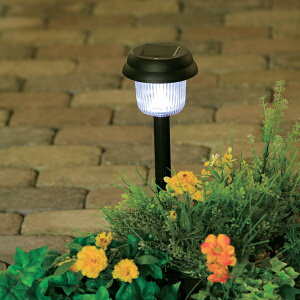 \[[CgGSL-P1WzCg[ACXI[} |pi K[fjOpi K[f ߓd ߖ h hЃObY ЊQ΍]