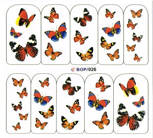 y[OKzlCV[557@lC^gD[@@EH[^[lCV[ɓh炵ē\邾̋ɔtBWFlCߍ݊ȒP