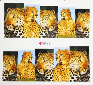 y[OKzlCV[690@lC^gD[@^@qE@ʐ^@EH[^[lCV[ɓh炵ē\邾̋ɔtBWFlCߍ݊ȒP