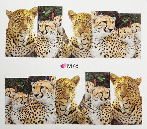 y[OKzlCV[691@lC^gD[@^@qE@ʐ^@EH[^[lCV[ɓh炵ē\邾̋ɔtBWFlCߍ݊ȒP