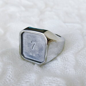 ANZT[yO[fRANZT[̓yz XNGAO80@Vo[/S[h/ubN wց@XeXfށy[OKz