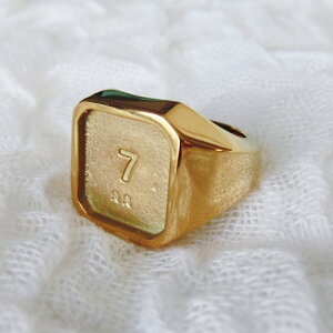 ANZT[yO[fRANZT[̓yz XNGAO80@Vo[/S[h/ubN wց@XeXfށy[OKz