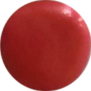 WG\鐷SyEڒ܁yfRVXO[ECgVzȒPDecoA[gNCpe200g(100g+100g)