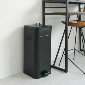 S~ yS13zyTtz X  Wt Lb` 45lΉ _Xg{bNX y_ 20cm rO 30cm 30bg 30l LȂ Tj^[{bNX S~p gC|