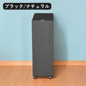 yT2tzyS6z S~ 45bg 30bg ؖ   LX^[t Lb` ӂt rO 傫 ybg{g ܂Ȃ 45l 30l X e 20cm 