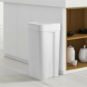 S~ 45bg yS12zyTtz  20cm Tj^[{bNX X Lb` 傫 ނ 30L 30bg LȂ 9.5L 25L 45L RECXER Wt ӂt S~ 