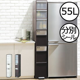 楽天市場 冷蔵庫 奥行き 薄型の通販