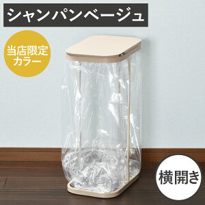 【当店限定カラー】【特典付き】【全17種類】 ゴミ箱 45リットル 45L おしゃれ 分別ゴミ箱 キッチン 30リットル ペットボトル ダストボックス フレームのみ ふた付き 約幅15cm 約幅20cm 蓋付きゴ
