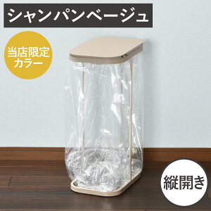 【当店限定カラー】【特典付き】【全17種類】 ゴミ箱 45リットル 45L おしゃれ 分別ゴミ箱 キッチン 30リットル ペットボトル ダストボックス フレームのみ ふた付き 約幅15cm 約幅20cm 蓋付きゴ