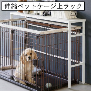 ybgP[W  I X ybgpi T[N e[u VFt ybgObY  [bN Lk X`[ pl  }Olbg  L t[h V[g rO Ce