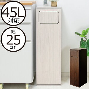 ゴミ箱 フロントオープン 45lの人気商品 通販 価格比較 価格 Com
