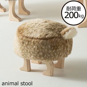 ֎q ؐ k  Xc[ t@[f  ەt { CeAG ی^ ^  qǂ 킢   ֎q Ibg} `FA \t@TCh ւ ω