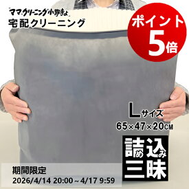 【エントリーでポイント5倍！2026/4/14 20:00 ～ 4/17 9:59】クリーニング　詰め放題　Lサイズ詰め込み三昧　何枚入れてもOK　宅配 クリーニング　料金追加で浴衣クリーニングできます　送料無料 入るだけ入れて下さい【サービス特集認定商品】