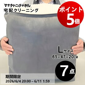 【エントリーでポイント5倍! 2026/6/4 20:00 ～ 6/11 1:59】クリーニング　7点まで 詰め放題　追加料金で 保管 特急サービスあり 宅配 送料無料 詰め放題　 【サービス特集認定商品】
