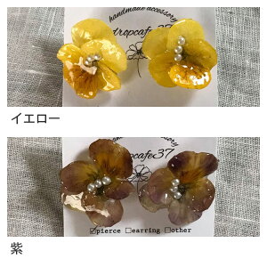 sAX Vv i  VRԃrIsAXi`^gpjsAX rI {  fB[X IV  I v[g 蕨 