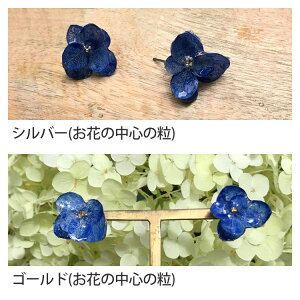 sAX Vv i  VRΐAWTCsAXi`^gp^sXYjsAX AWTC z sX  VR {  fB[X IV  I v