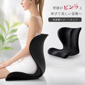 【クーポンで15％OFF♪20時〜6時間】骨盤矯正 椅子 骨盤サポート座椅子 バランスチェア 座椅子 腰 猫背 クッション ゆがみ 腰痛 スタイル イス 姿勢矯正 クッション 座椅子 洗えるカバー 疲労 テレワーク オフィス デスクワーク スタイル